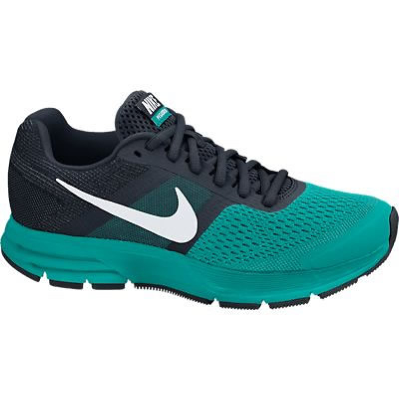 Nike zoom pegasus men hotsell